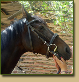 Hubert Werner mit Tochter