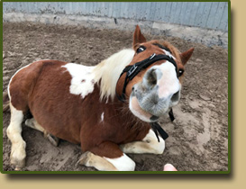 Hubert und Doreen Werner