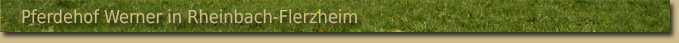 Pferdehof Werner in Rheinbach-Flerzheim